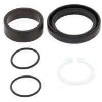 VEDANTES PINHAO KAWASAKI KX/KDX 250 ALL BALLS 25-4015