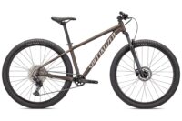 BICICLETA MTB 29 SPECIALIZED ROCKHOPPER ELITE DOPPIO/SAN XL