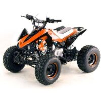 MOTO4 ACM110 EASY OFF ROAD 8"