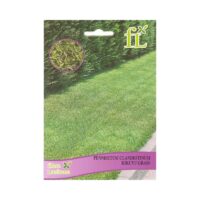 SEMENTES GRAMA PENNISETUM CLANDESTINUM KIKUYO 100GR