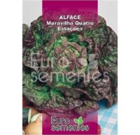 SEMENTES ALFACE MARAVILHA 4 ESTAÇOES 10GR