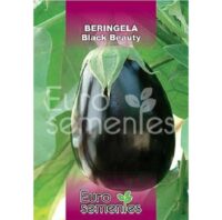SEMENTES BERINGELA BLACK BEAUTY 10GR