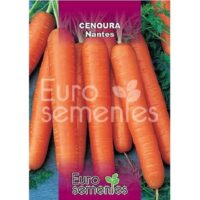 SEMENTES CENOURA NANTES 10GR