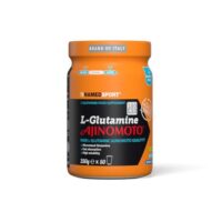 SUPLEMENTO EM PÓ NAMEDSPORT L-GLUTAMINE 250G