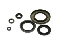 VEDANTES MOTOR HONDA CR250 92-05 CENTAURO 666A256S
