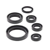 VEDANTES MOTOR PEUGEOT BUXY (6PCS) TNT