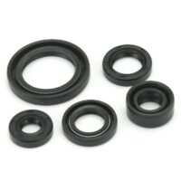 VEDANTES MOTOR SUZUKI GN125 / GS125 TNT 040920F