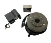 VOLANTE MAGNETO SACHS 12V 81-J020-01 CPL SJ