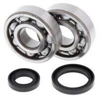 ROLAMENTOS / VEDANTES CAMB SUZ ALL BALLS 24-1016