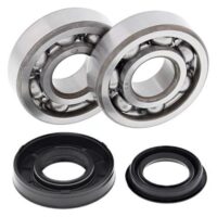 ROLAMENTOS/VEDANTES CAMBOTA ALL BALLS 24-1095