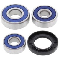 ROLAMENTOS DE RODA ALL BALLS 25-1607
