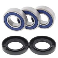 ROLAMENTOS RODA ALL BALLS 25-1021