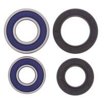 ROLAMENTOS RODA ALL BALLS 25-1035