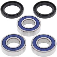 ROLAMENTOS RODA TRAS SUZ ALL BALLS 25-1243