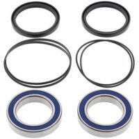ROLAMENTOS RODA TRAS HONDA ALL BALLS 25-1320