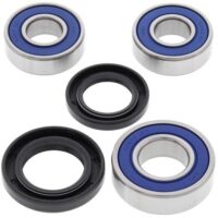 ROLAMENTOS RODA ALL BALLS 25-1411
