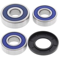 ROLAMENTOS DE RODA ALL BALLS 25-1494