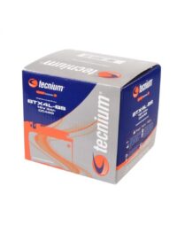 BATERIA TECNIUM BTX4L-BS