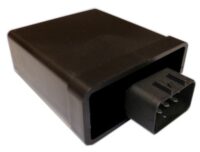 CDI YAMAHA YFM 300 GRIZZLY 2WD 12-13 TECNIUM