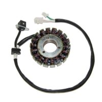 ESTATOR BMW F800 (07-12) ELECTROSPORT ESG831