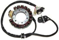ESTATOR YAMAHA YFM RAPTOR 350 ELECTROSPORT ESG431