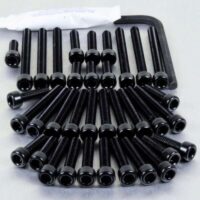 KIT PARAFUSOS MOTOR HO CBR600 PRO-BOLT PRETO