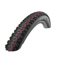 PNEU BIC 29X2.25 SCHWALBE RACING RALPH TL SPEED