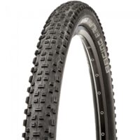 PNEU BIC 29X2.25 SCHWALBE RACING RALPH PERF TL