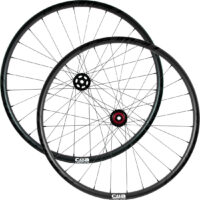 RODAS BIC MTB 29'' NEW RACE C4A CARBONO 15X100/12X142 XD PR