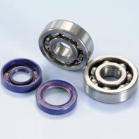 ROLAMENTO CAMBOTA MINARELLI AM6(DT50R...)  POLINI