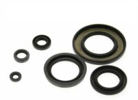 VEDANTES MOTOR SYM GTS/JOYRIDE/CYTICOM 125 CENTAUR