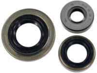 VEDANTE CAMBOTA HONDA GX240/270 (30X45X8MM) BER
