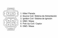 CDI HONDA XR 600 VICMA