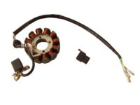 ESTATOR SYM WOLF 125 31120-BBA-000