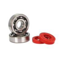 ROLAMENTOS TPI 6204 TVH C4 C/ VEDANTES YAMAHA/MBK