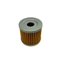 FILTRO OLEO QJ MOTOR SRK 125 160043090000