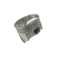 PISTON COM CAVILHAO DAELIM DAYSTAR/ROADWIN 1310A-BA1-0100-M1