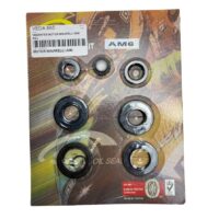 VEDANTES MOTOR MINARELLI AM6 ROL