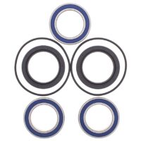 ROLAMENTOS RODA TRAS ALL BALLS 25-1560