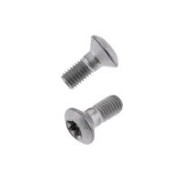 PARAFUSOS SEXTAVADOS TORX M8X1.25X16MM BOLT CINZA (10 PCS)