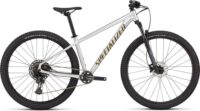 BICICLETA MTB 29 SPECIALIZED ROCKHOPPER EXPERT CINZA/DOURADO M