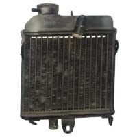 RADIADOR SUZUKI TS50 (USADO)