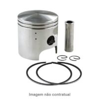 PISTON CASAL 6 Ø42 BARIKIT