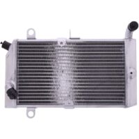 RADIADOR AGUA HONDA FJS 400/600 (01-16) JMP 7760354
