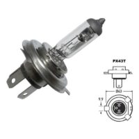 LAMPADA FAROL 12V 35/35W PX43T HS1 FLOSSER