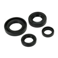 VEDANTES MOTOR HONDA CBF125 TNT 040920E