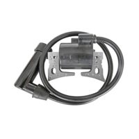 BOBINE CORRENTE ROBIN EX13/17/21 BQP
