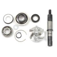 REPARAÇAO BOMBA AGUA DAELIM S3 125