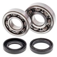 ROLAMENTOS / VEDANTES CAMB YA ALL BALLS 24-1043