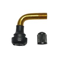 VALVULA JANTE TUBELESS BICICLETA ELETRICA CURVA METAL